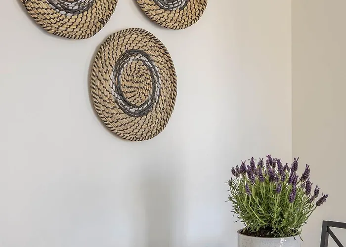 Be Mate Playa מלון דירות